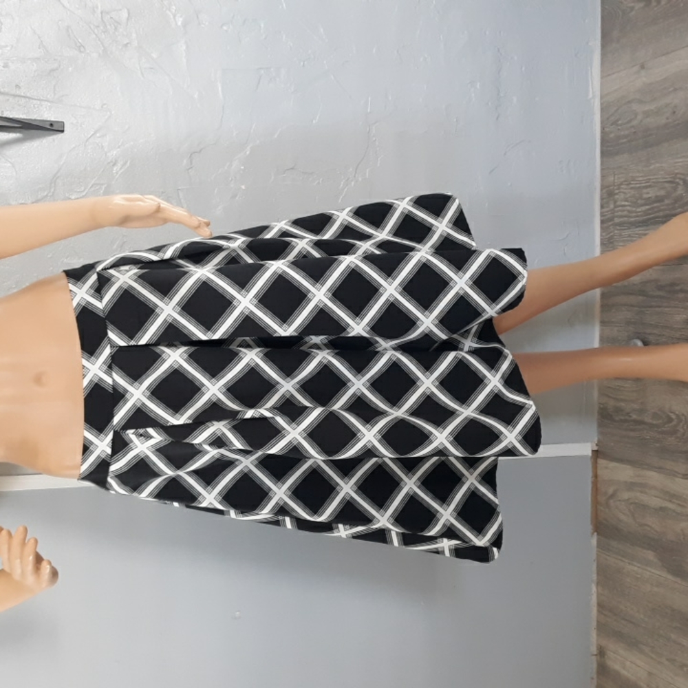 Express Skirt Flared